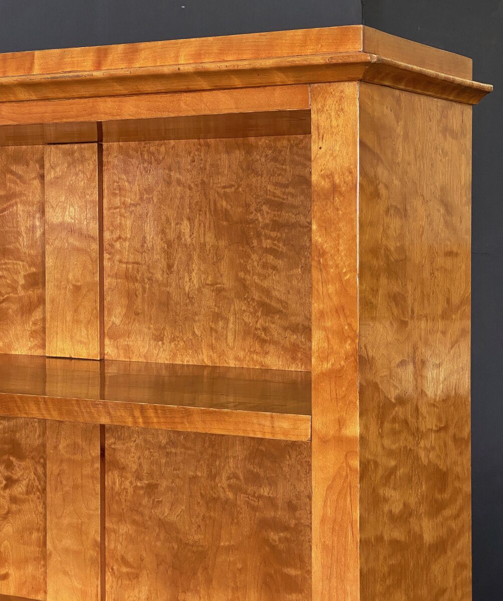 ff065_biedermeier_bookcases_2_38_copy