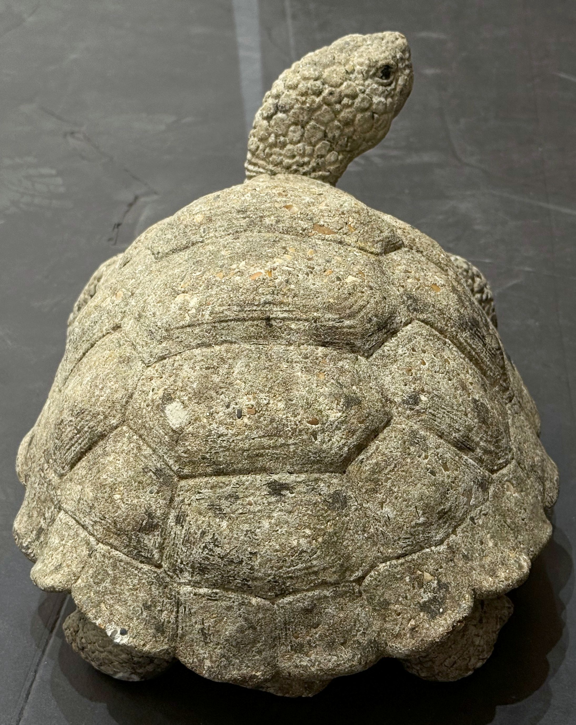 gg044_stone_turtle_11_copy