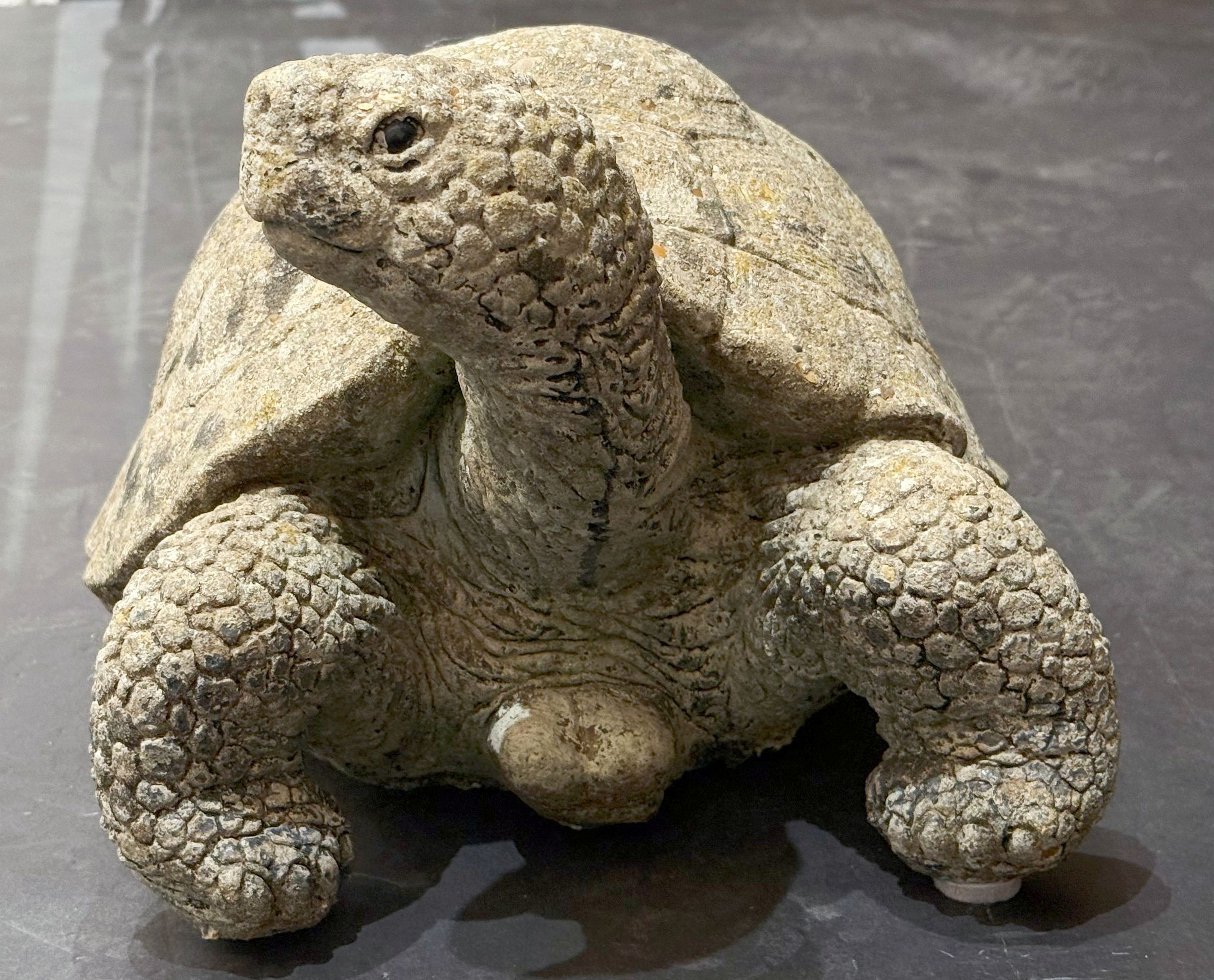 gg044_stone_turtle_9_copy