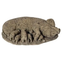 f_47125792_1760998180031_bg_processed