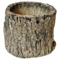 f_48024082_1765919760864_bg_processed