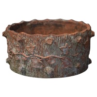 f_49022162_1772316485374_bg_processed