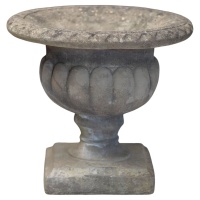 f_49022252_1772316163772_bg_processed